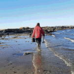 umha mulher mariscadora avança pola beira de umha praia.