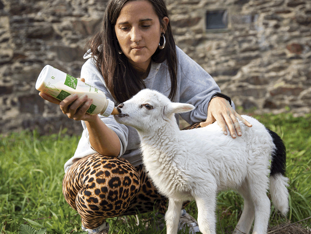 Inés Trillo, do Santuario Vacaloura, dando biberom a umha cria de ovelha.  