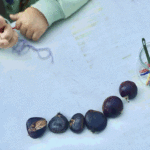ngz205-magusto-criança da semente fai colar de zonchos-web